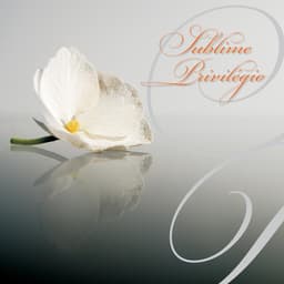 CD Sublime Privilégio