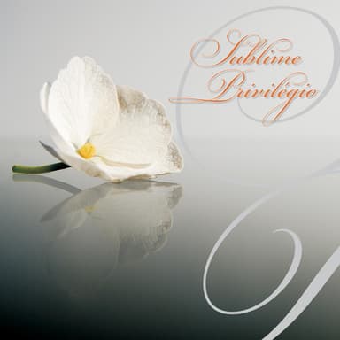 CD Sublime Privilégio